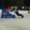 CW Fotos Snowboard Worldcup Jauerling 2012 123